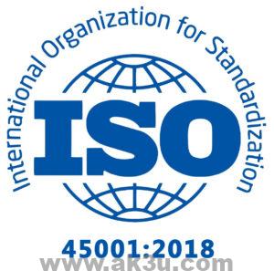 ISO 45001-2018 Dual Language English dan Bahasa Indonesia PDF